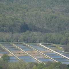 Lakeview Trail